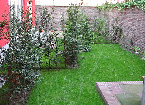 AS_03_550x410