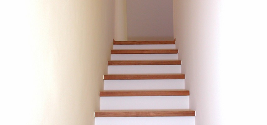 GNS_05_850x1125