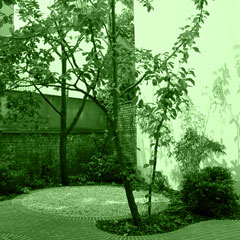WFS2_07_240x240